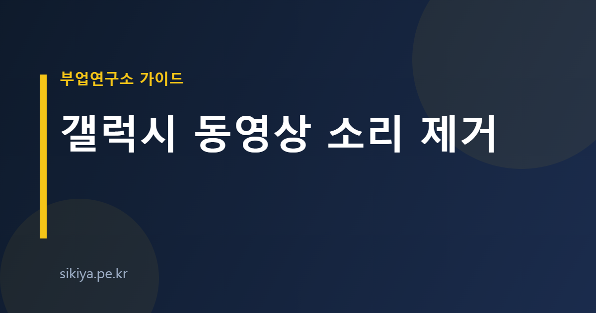 갤럭시 동영상 소리 제거