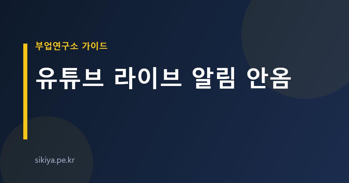유튜브 라이브 알림 안옴