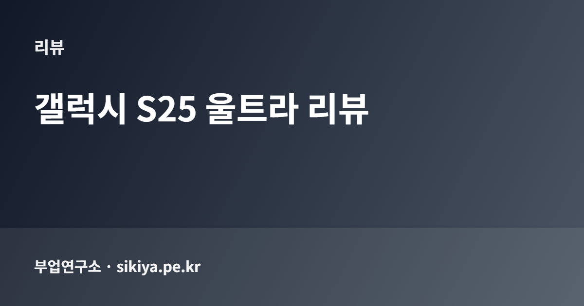 갤럭시 S25 울트라 리뷰